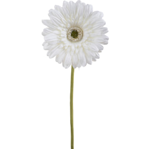 Fiore Di Gerbera Singolo. Altezza 62 Cm - Pezzi 12 - 12X62X12cm - Colore: Bianco - Bianchi Dino - Fiori Artificiali