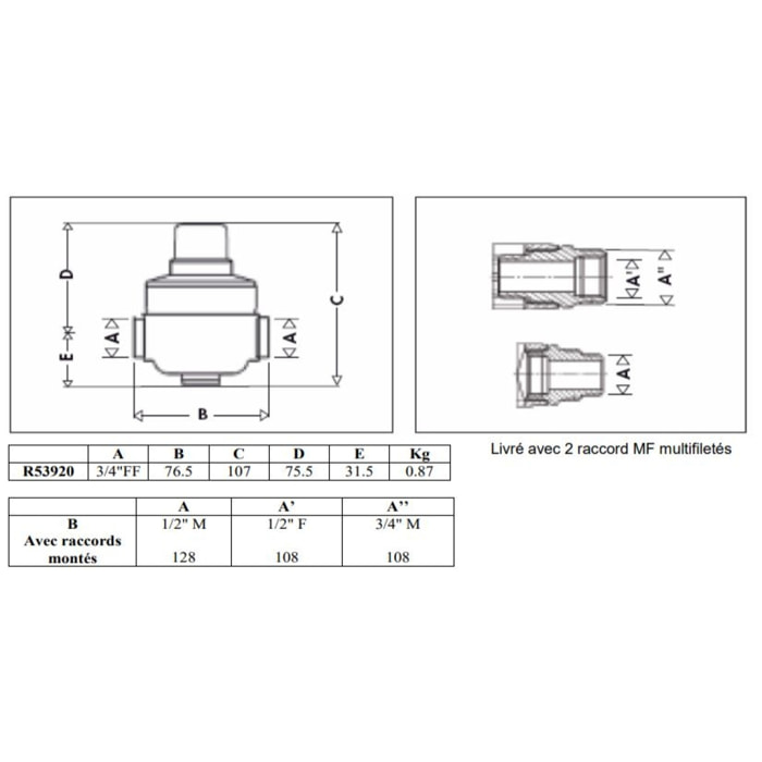 Réducteur de pression 539 NF 3/4'+raccord 3/4-1/2'M THERMADOR U539250TH - R53920