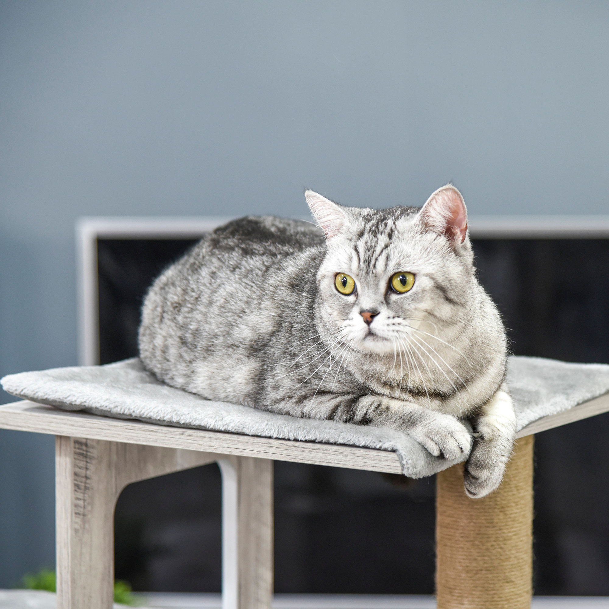 Árbol Rascador para Gatos 67x38,5x114 cm Torre de Escalada de Gatos con Cueva de Madera Múltiples Plataformas y Postes de Rascar de Yute Juego y Descanso Gris