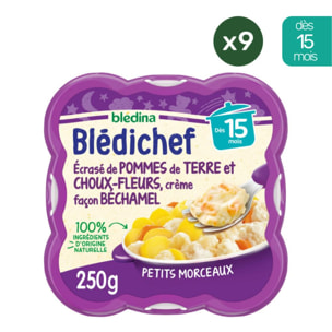 9 Assiettes Ecrasé de Pommes de terre et Choux-fleurs, crème façon Béchamel - Bledina Bledichef - Dès 15 mois