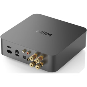 Amplificateur HiFi WIIM amp pro