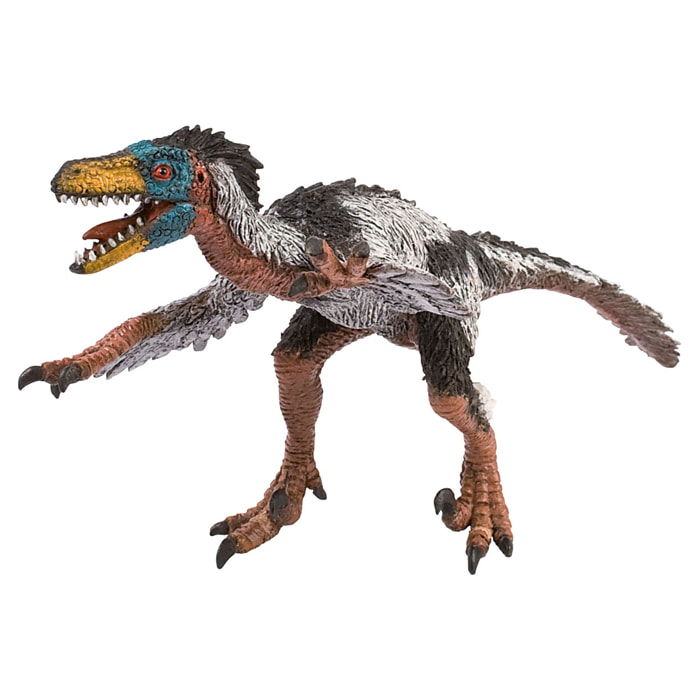 Dinosauri/Velociraptor Linea Museo Naturale