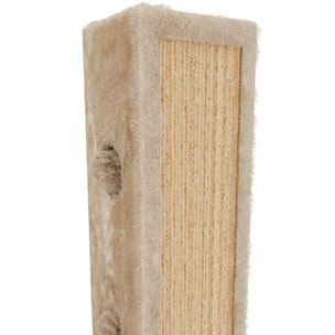 Albero per Gatto con Graffiatoio Cuccia Giocattolo Gatti Parco Giochi Tiragraffi in Sisal Naturale 80 x 45 x 45 cm Colore Beige Dixie