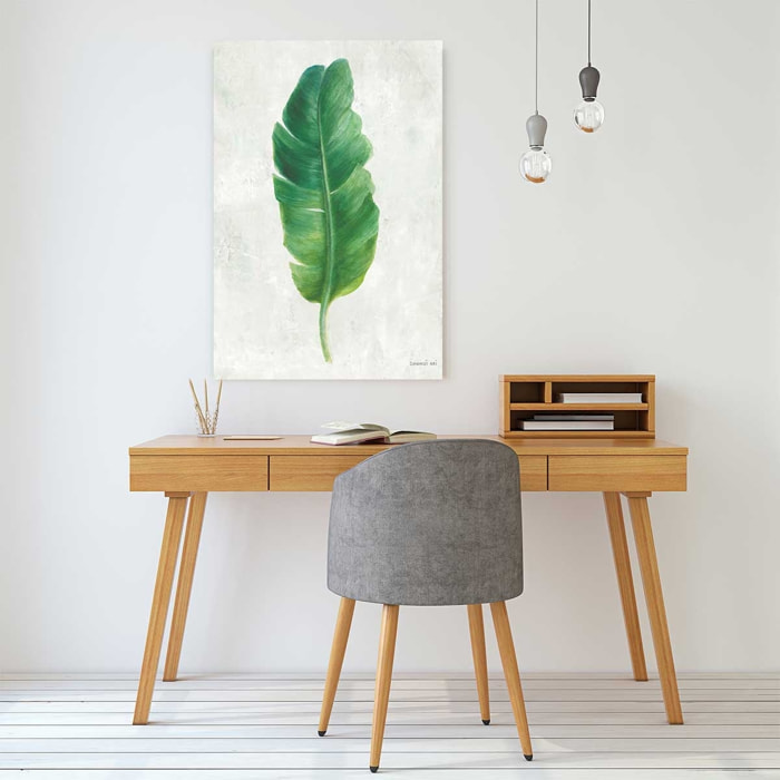 Tableau Feuille de bananier illustrée Tableau plexiglas