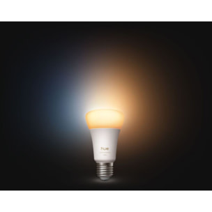 Ampoule LED connectée PHILIPS HUE E27 White Ambiance 75W