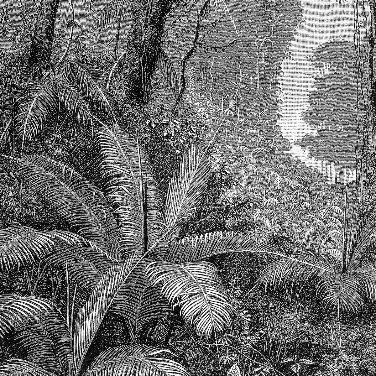 Affiche paysage jungle indienne Affiche + cadre en bois - Noir