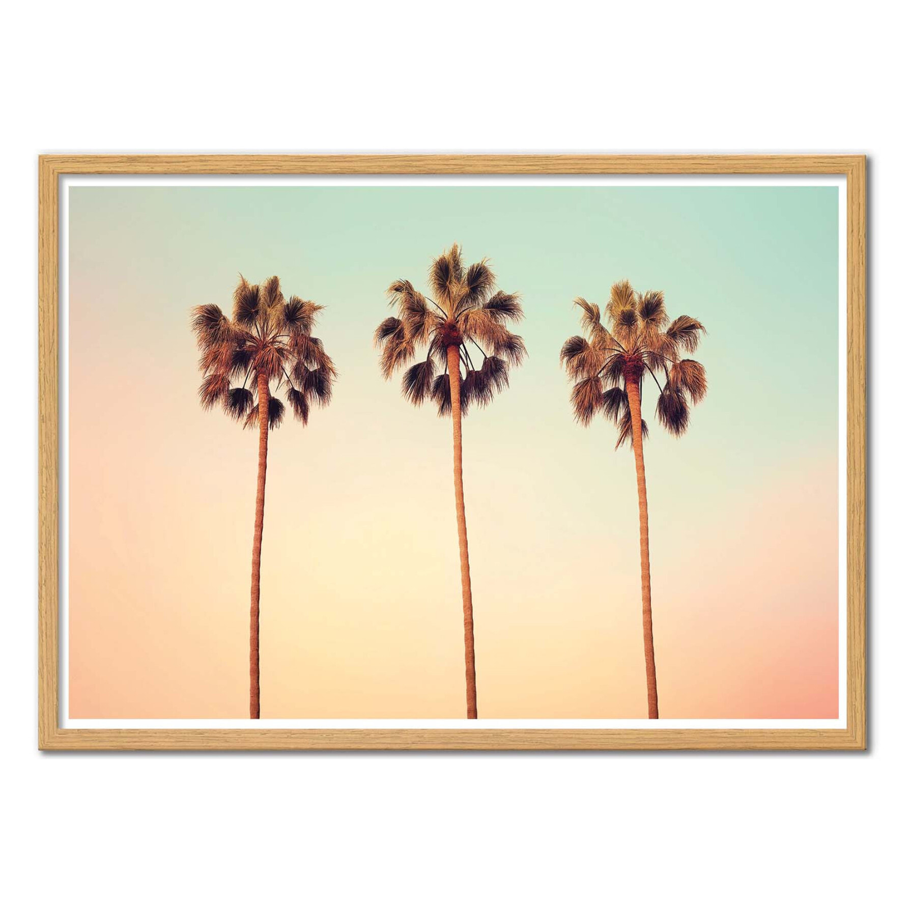 Affiche - California Hollywood Palms - Philippe Hugonnard