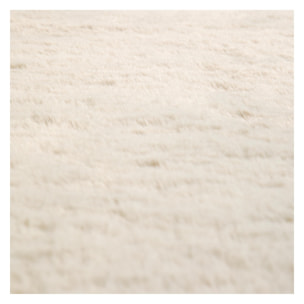 Tapis Eddy