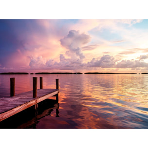 Papier peint panoramique lumiere du soir sur un etang Intissé