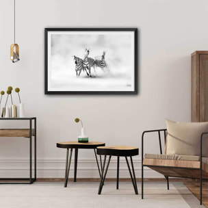 Affiche animaux racing stripes Affiche sous cadre noir