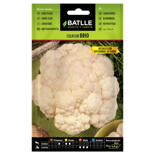 Semillas de Coliflor Brio Sel. Urgelba Batlle