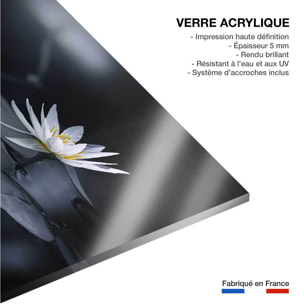 Tableau fleurs Alba nénuphar Tableau plexiglas
