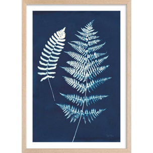 Affiche Duo fougères bleues Affiche + cadre en bois - Chêne