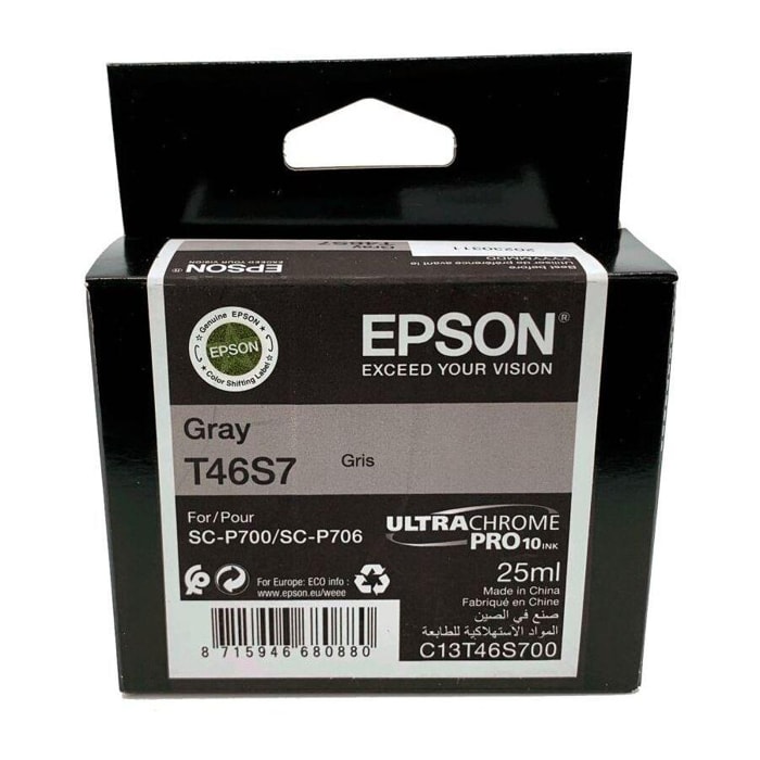 Cartouche d'encre EPSON T46S7 Gris