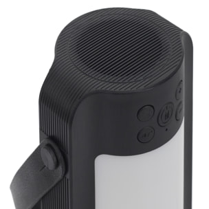 Enceinte Portable Led Sans Fil 27.5cm