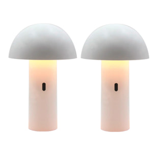 2 Lampe de table sans fil TOD H28CM
