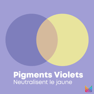 So Silver - Après-Shampoing Violet Neutralisation de Reflets Indésirables Jaunes