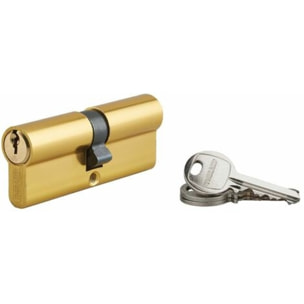Cylindre profilé ECOPRO laitonné THIRARD 40x40 Vis de 40 mm - 00007191