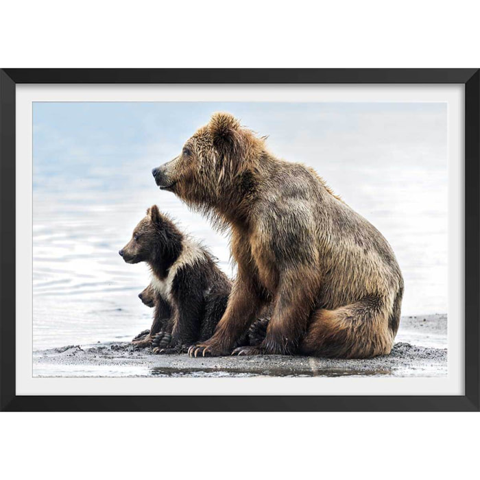 Affiche animaux profile Family Affiche + cadre en bois - Noir