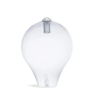 Pranarom - Ampoule et verrerie pour diffuseur Edison - 1 pièce