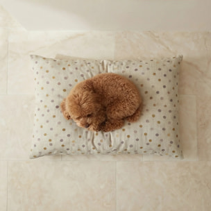 Lit pour animaux déhoussable et antitaches 0120-305