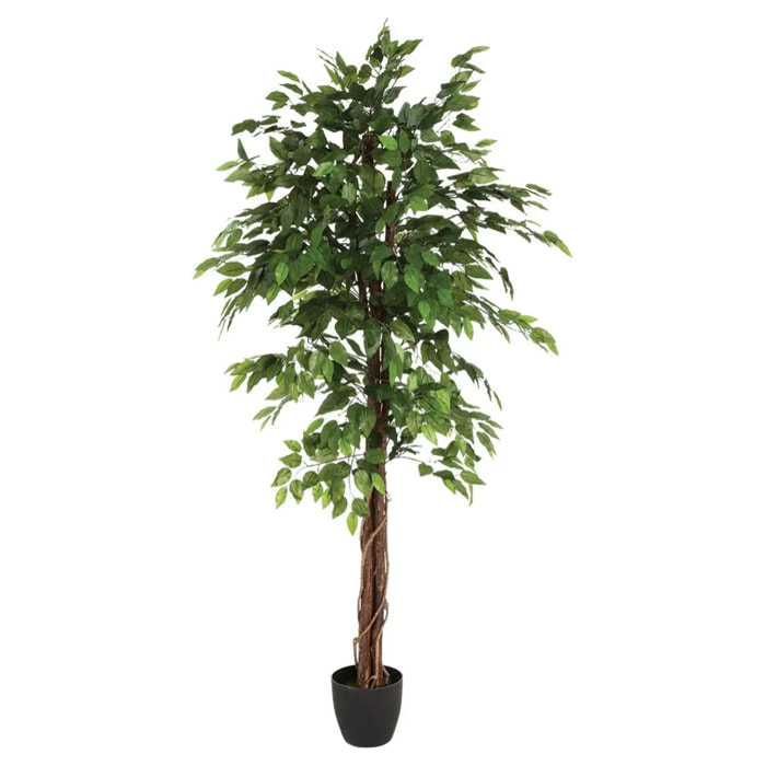 Ficus artificiel "Benjamina" vert H180cm
