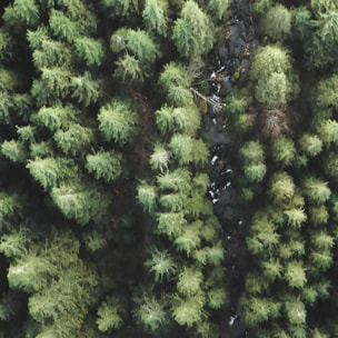 Affiche encadrée forêt vue du ciel Affiche + cadre en métal - Noir