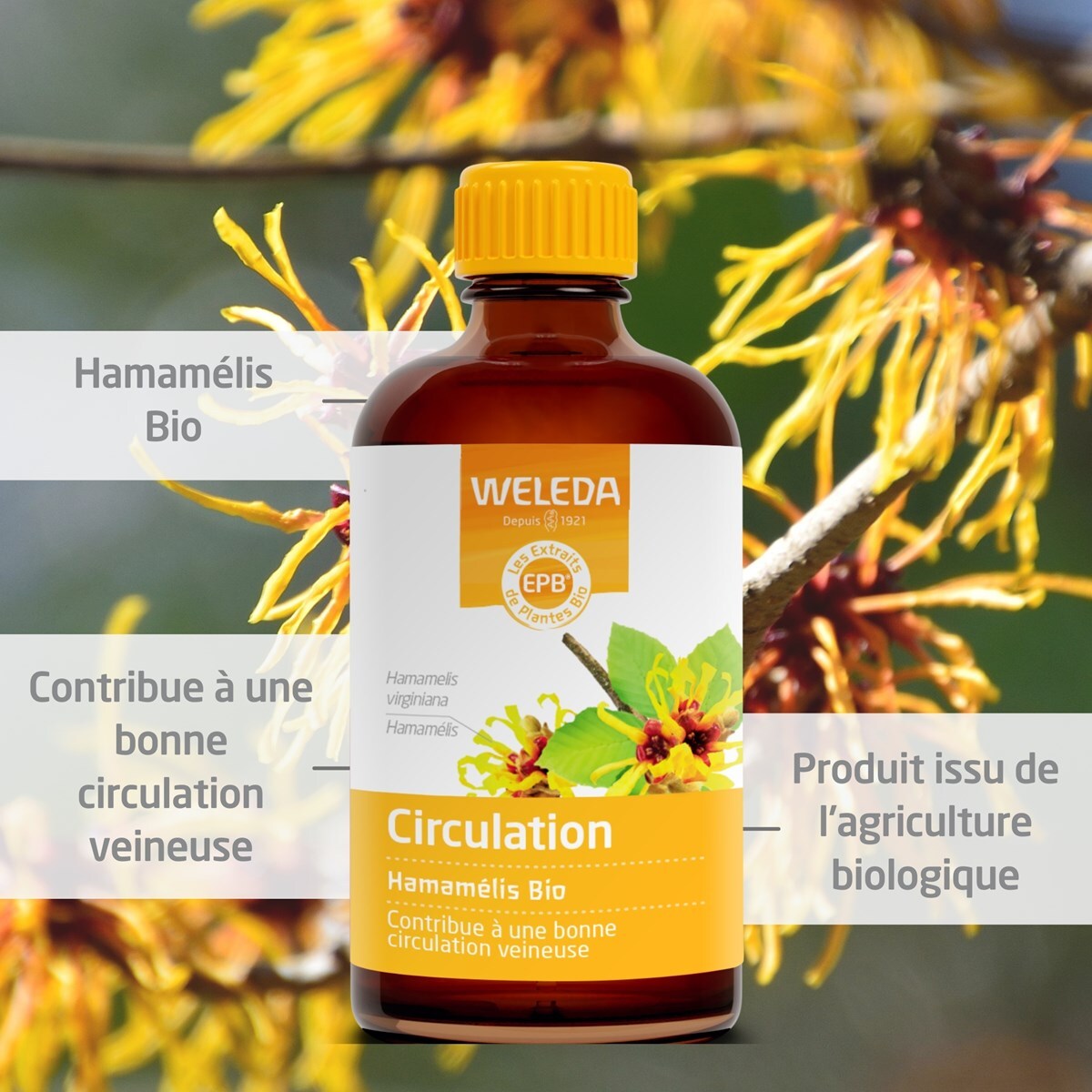 WELEDA -  Duo EPB Hamamelis Bio - Circulation -  2*100 ml