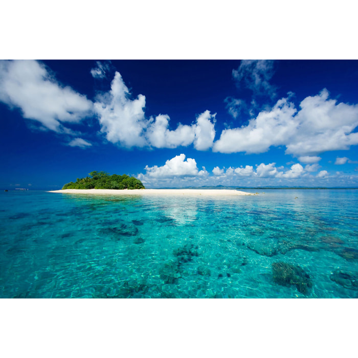 Tableau mer tropical island  Tableau alu Dibond