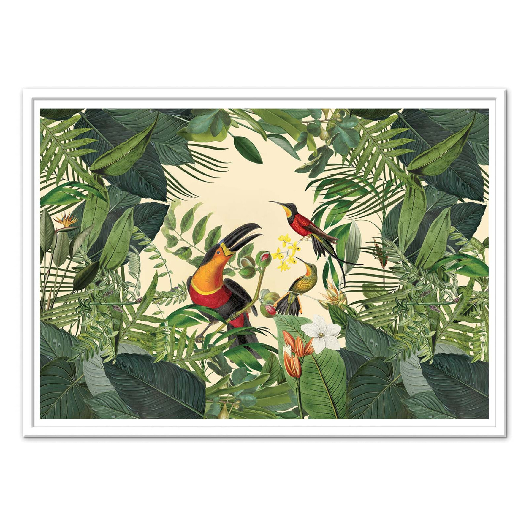 Affiche - Tropical Jungle Toucan - Andrea Haase