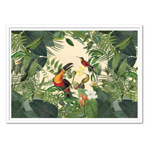 Affiche - Tropical Jungle Toucan - Andrea Haase