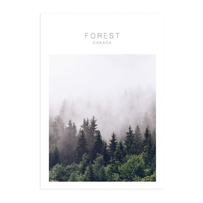 Poster Forest Canada