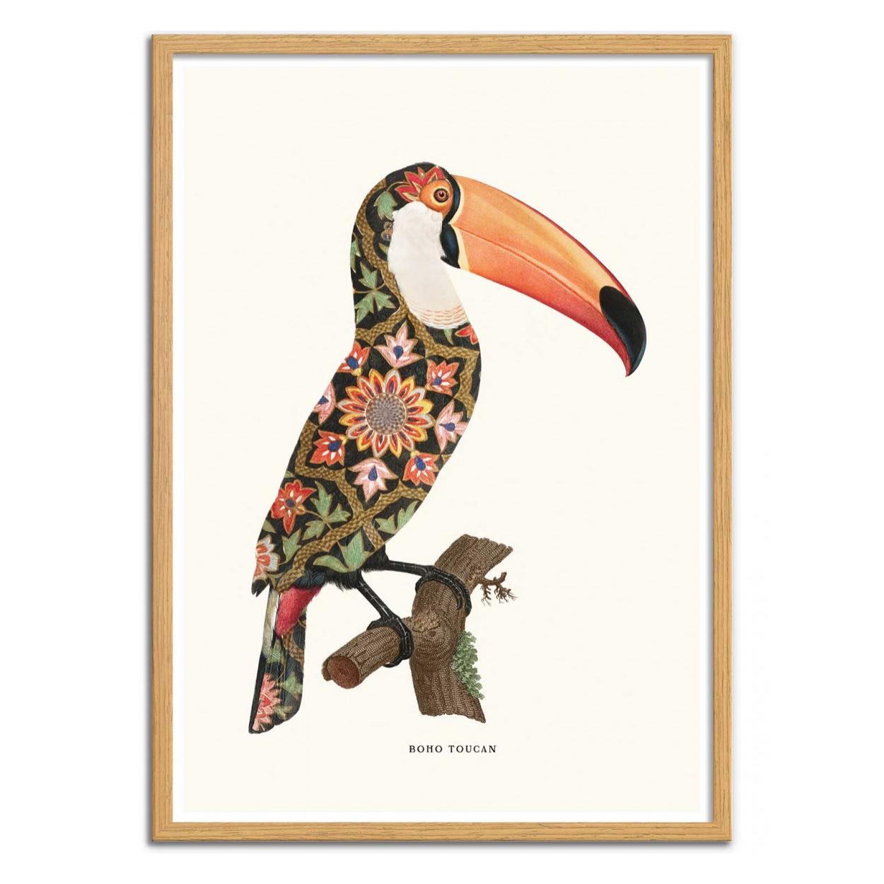 Art-Poster - Boho Toucan - Jonas Loose - 50 x 70 cm