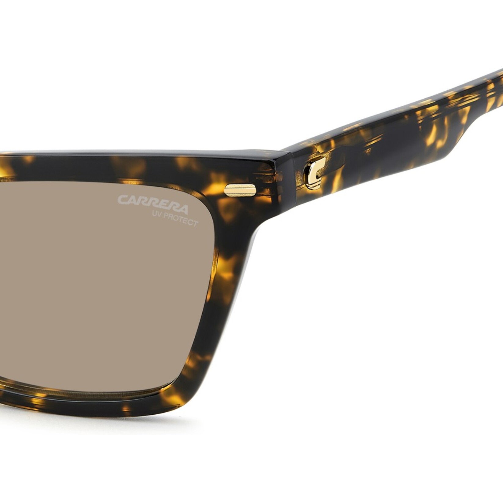 Gafas de Sol Carrera 3083/S 086 de Acetato Mujer 55 mm