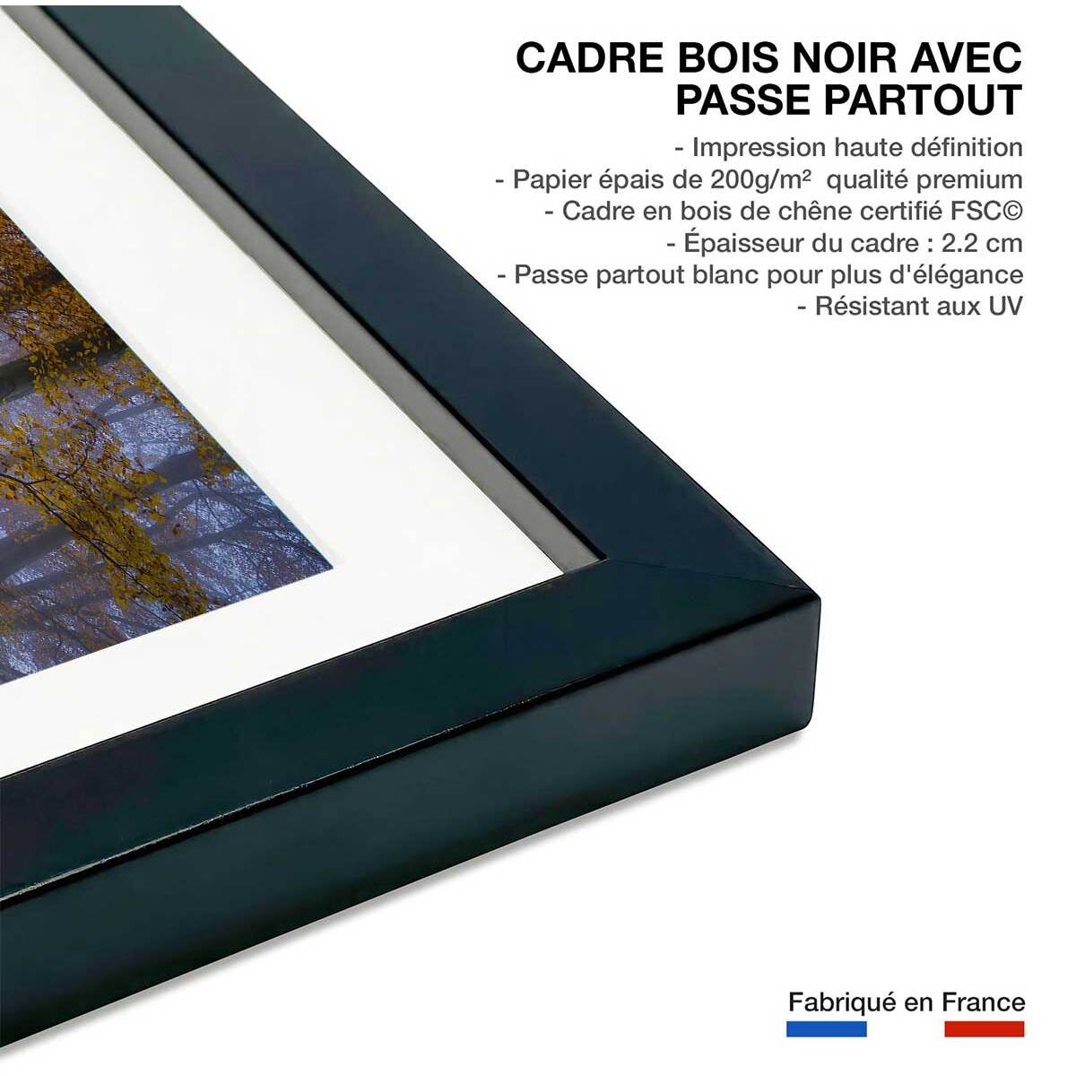Affiche Chemin d'automne Affiche + cadre en bois - Noir