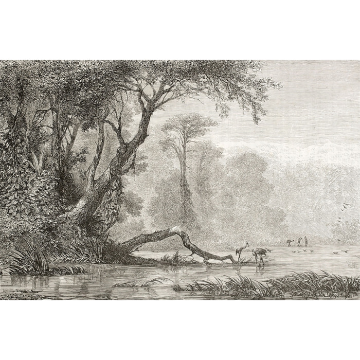 Tableau gravure les bords du fleuve Toile imprimée