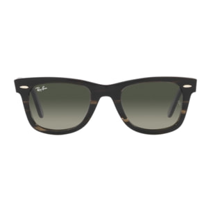 Gafas de sol Ray Ban Unisex RB2140-136071