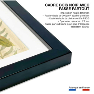 Poster Diamant d'hibiscus Affiche sous cadre noir