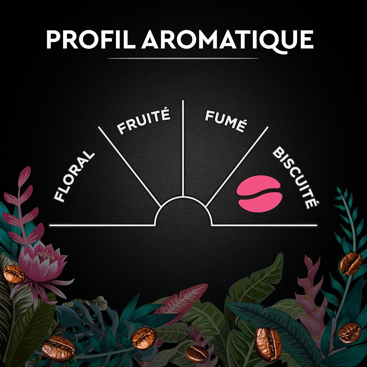 Carte Noire Grains Secret de Nature Congusta 1 KG