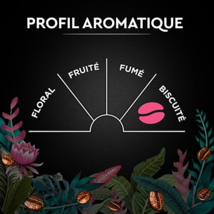 Carte Noire Grains Secret de Nature Congusta 1 KG