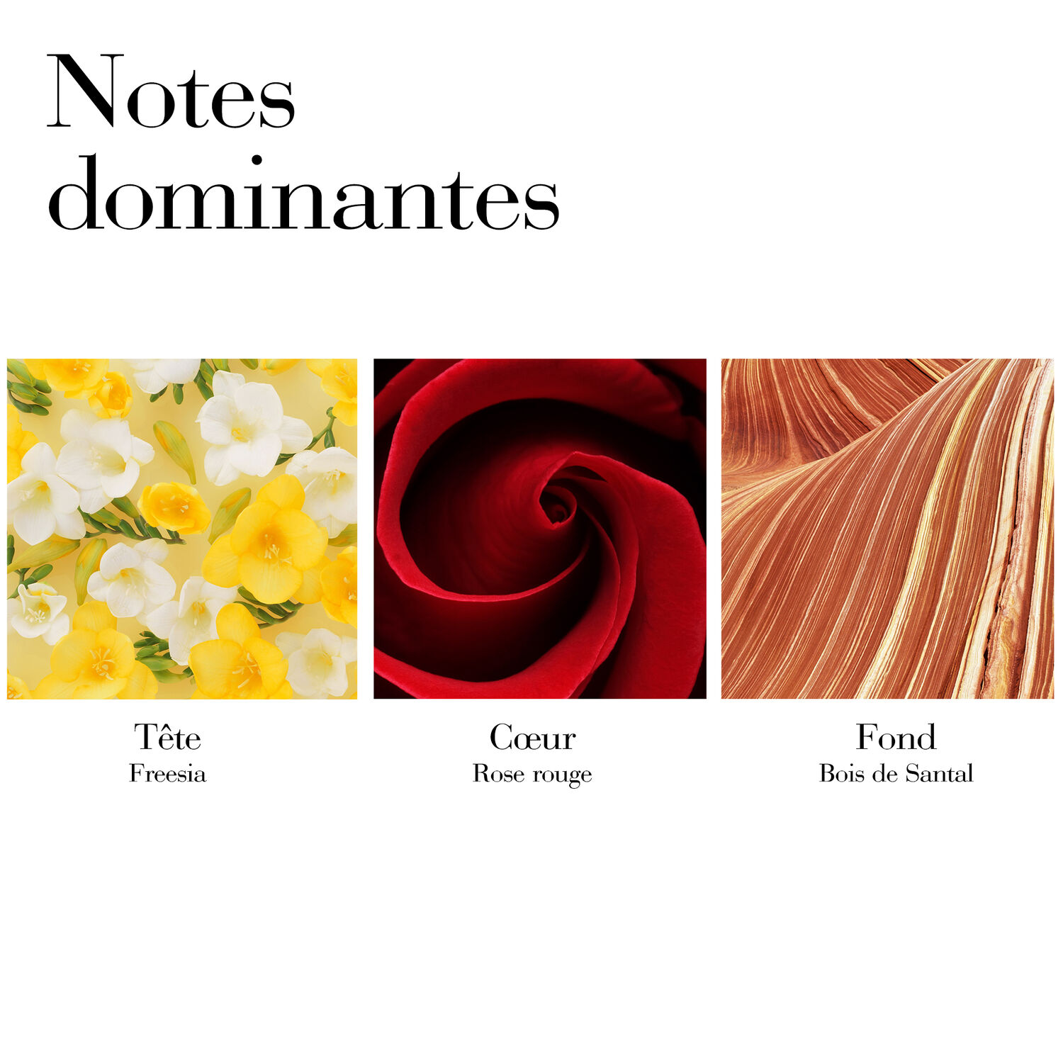 Red Door - Eau de Toilette