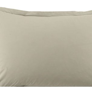 Lot De 2 Taies D'oreiller 100% Coton 57fils Latte