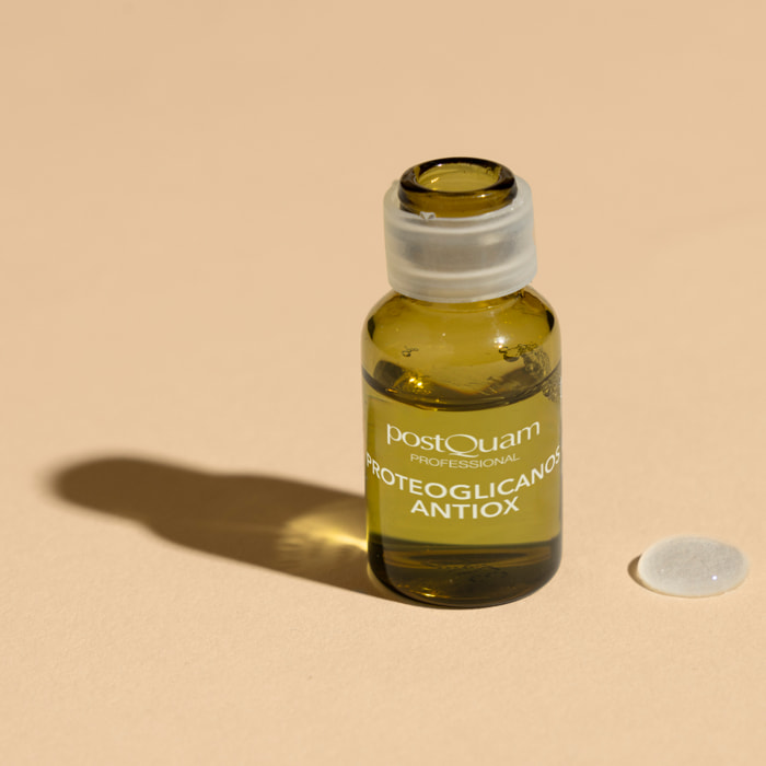 Proteoglycanes antiox 10*2ml