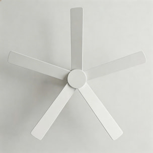 Forlight Ventilador IP20 Rodas Blanco brillante Blanco