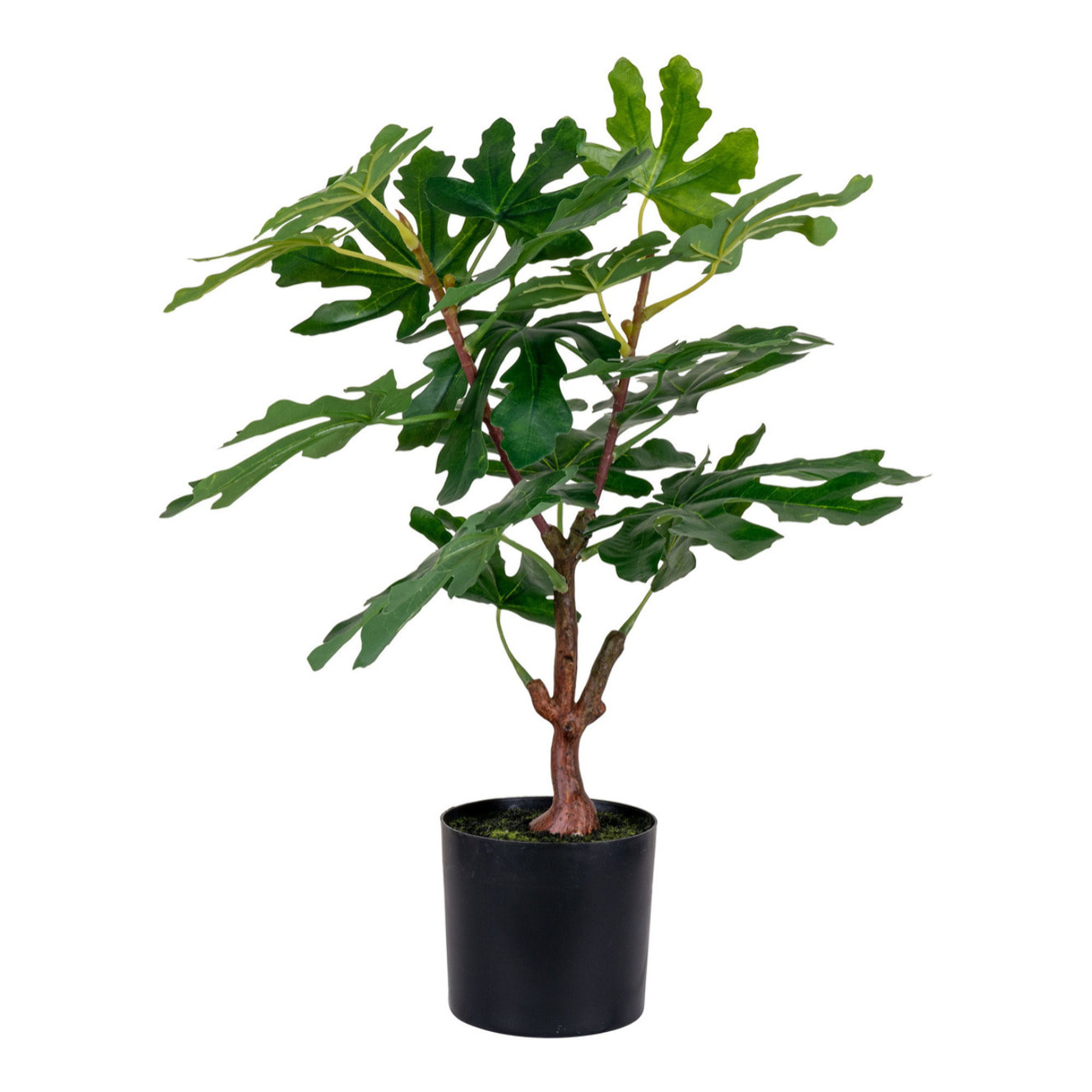Fico artificiale in vaso Vikasa Home — H 60 cm