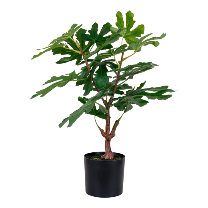 Fico artificiale in vaso Vikasa Home — H 60 cm
