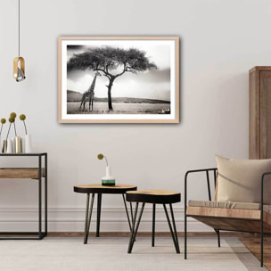 Affiche animaux sous le soleil d' afrique Affiche + cadre en bois - Chêne