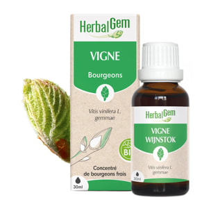 Herbalgem- Bourgeon de Vigne - Bio - 30 ml