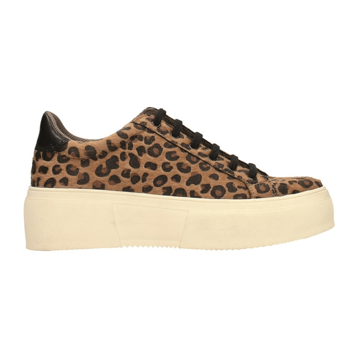 Sneakers Donna Tata Italia Marrone