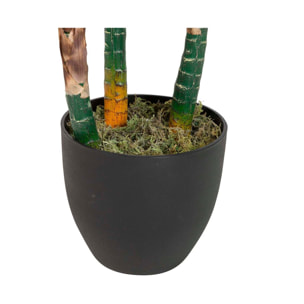 Planta Artificial Cordyline Con Maceta 80x80x110 Cm
